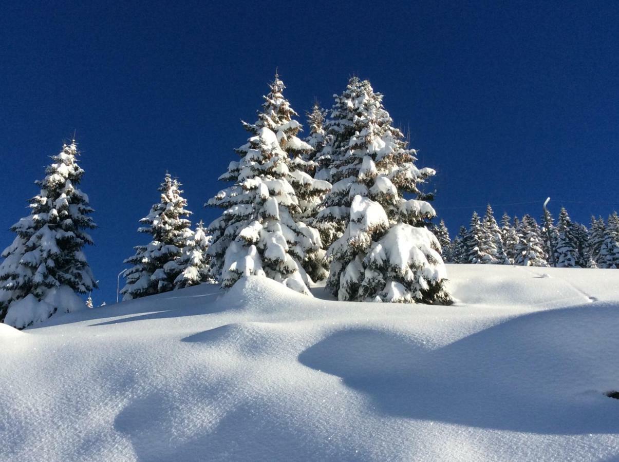 Chalet 13 Personnes-Le Vanvolet Les Saisies Kültér fotó